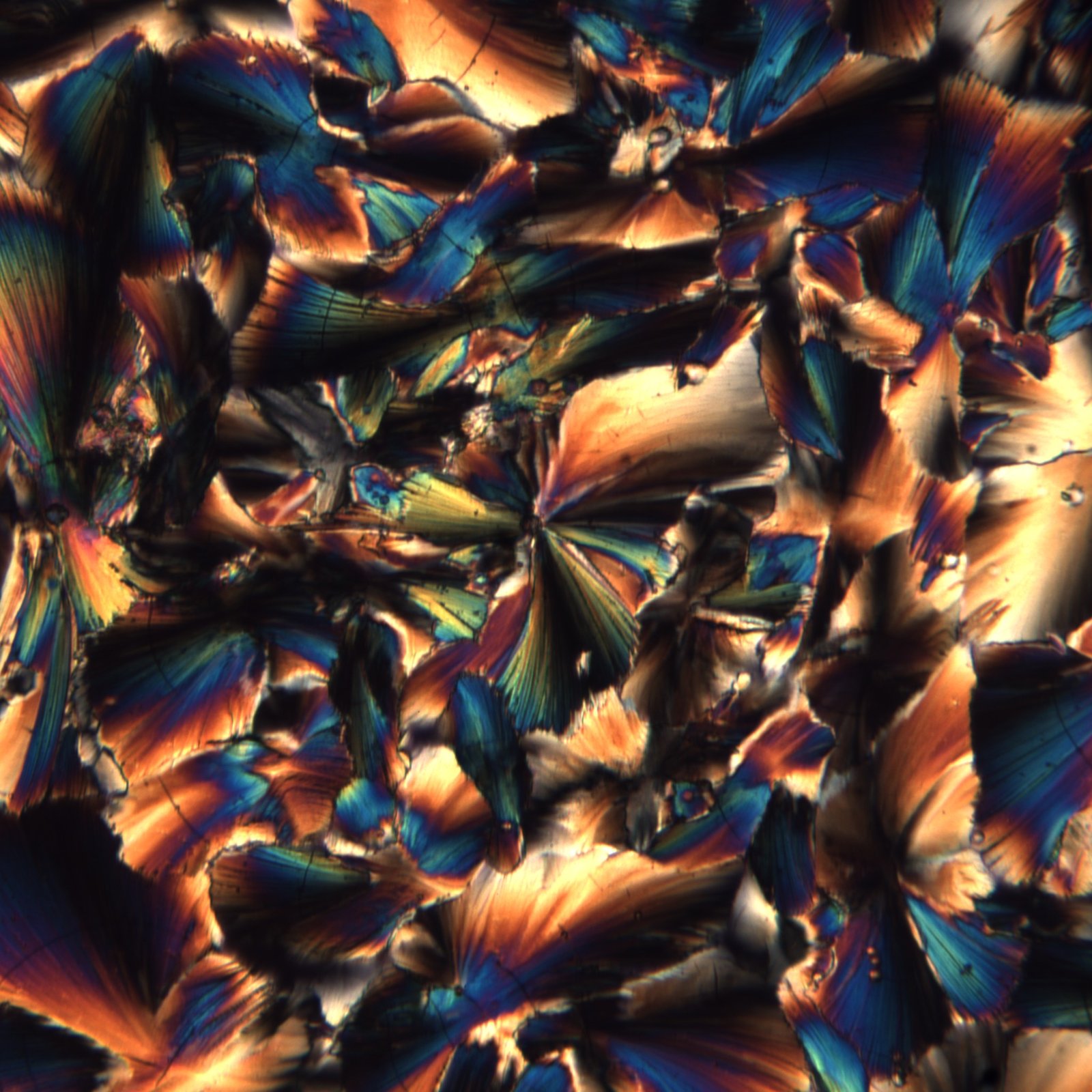 Fan-shaped crystal clusters in deep amber and teal, cross-polarized light detail