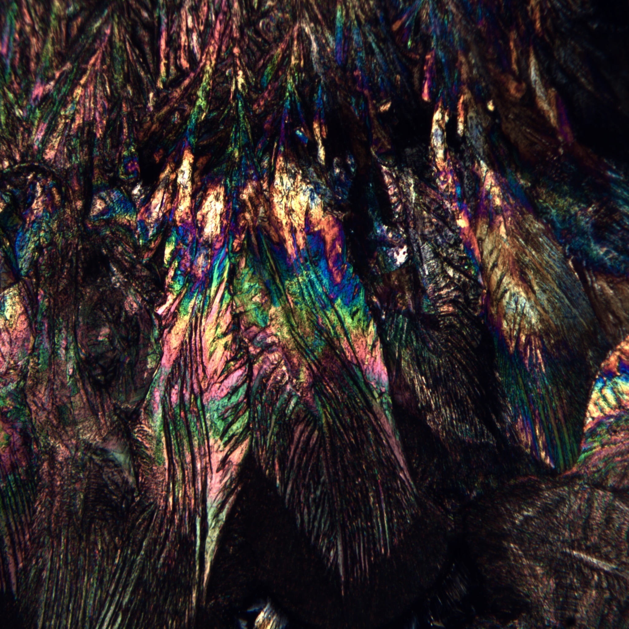 Crystal structure formed from cremated remains, cross-polarized light detail
