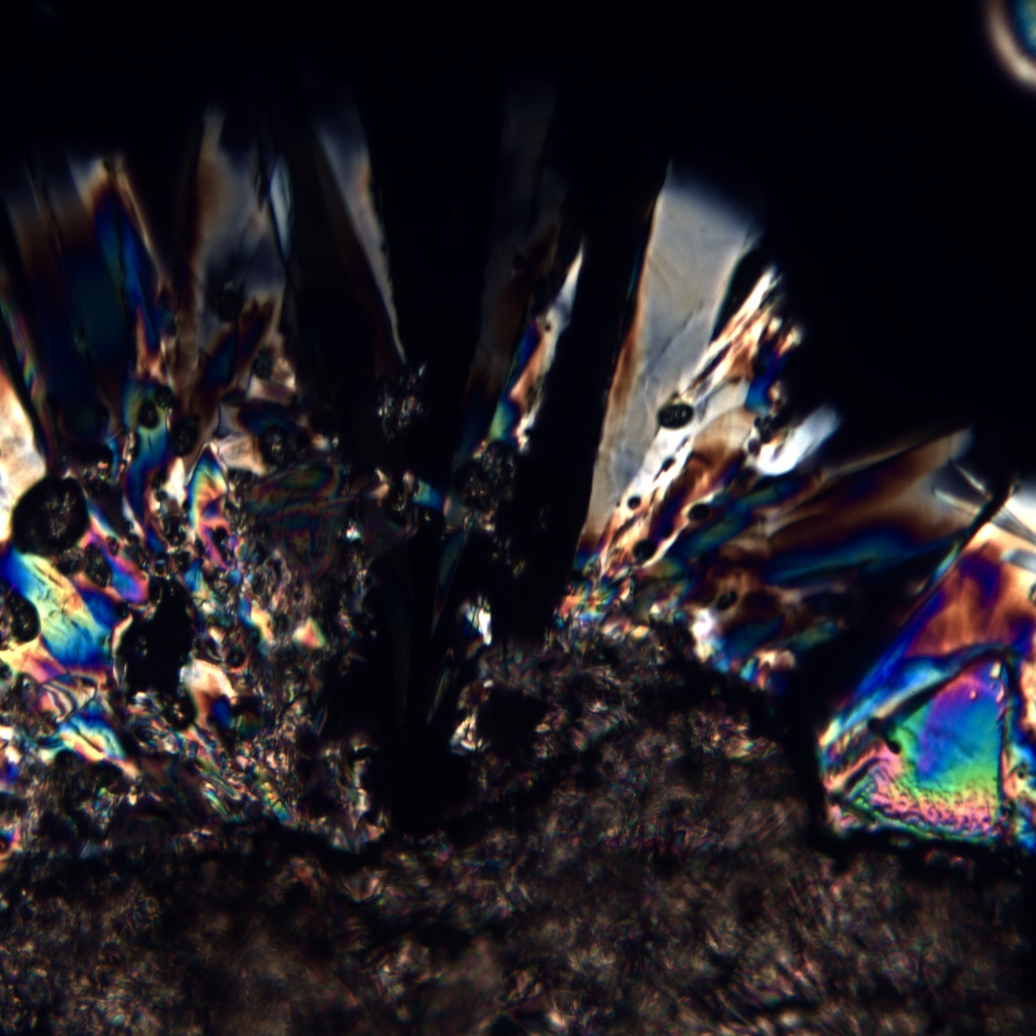 Crystal structure formed from cremated remains, cross-polarized light detail