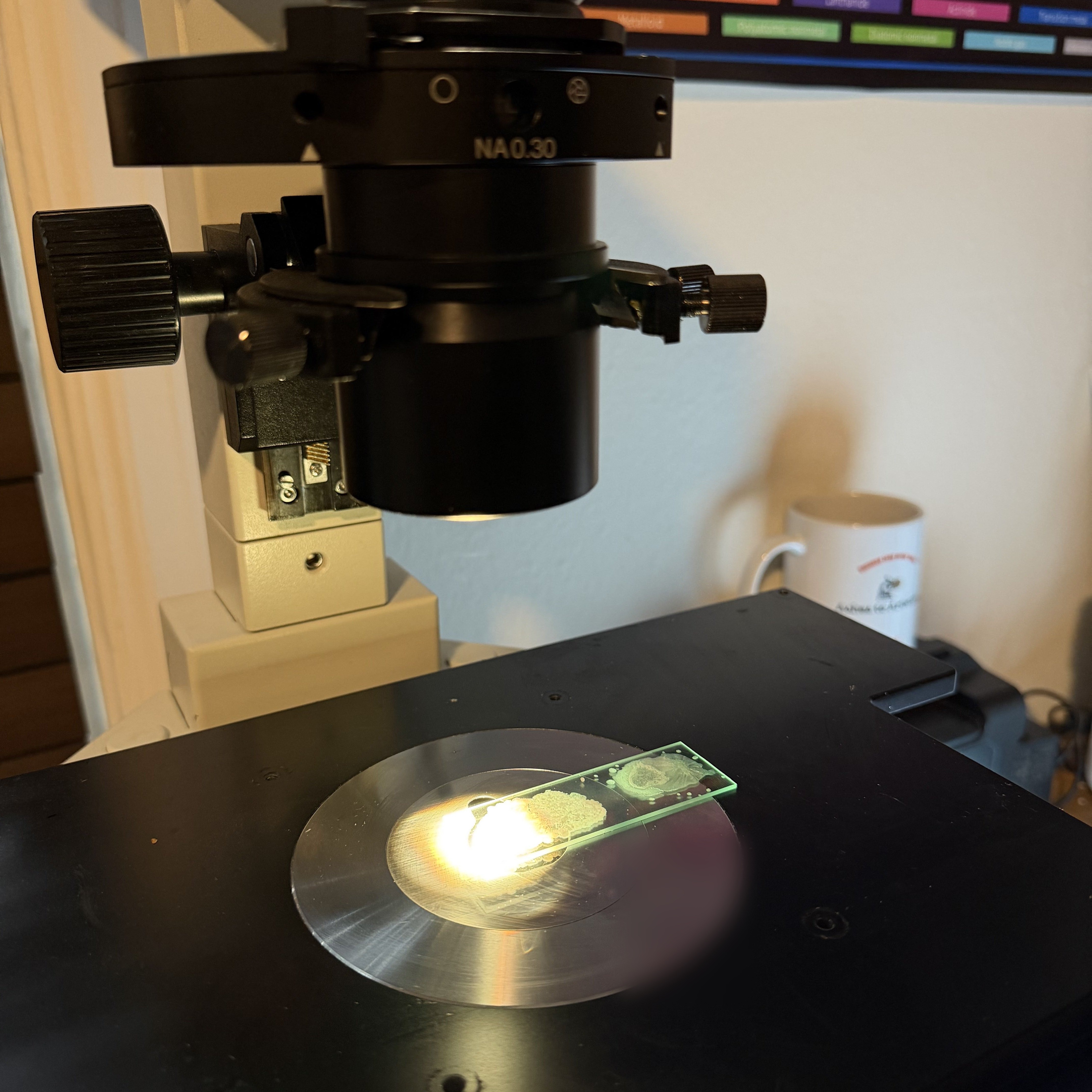 Close detail of a microscope objective turret and prepared slide